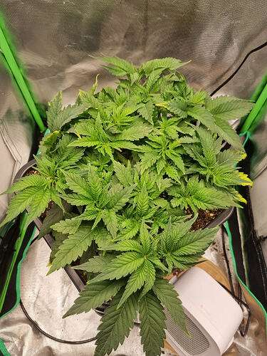 Growreport Bild 6