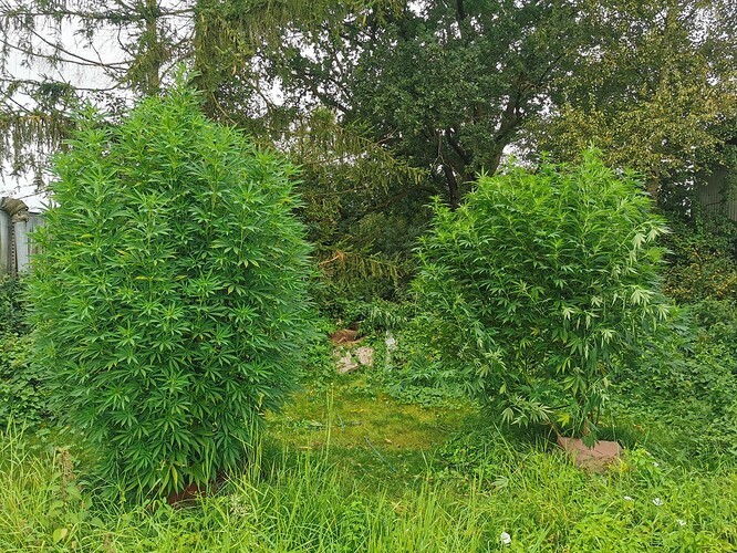 Growreport Bild 11