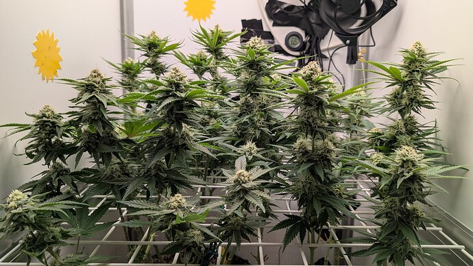 Growreport Bild 23