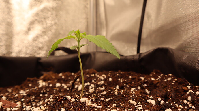 Growreport Bild 24