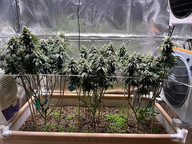 Growreport Bild 1