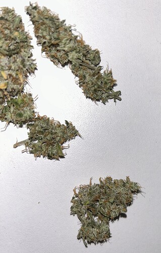 Growreport Bild 28