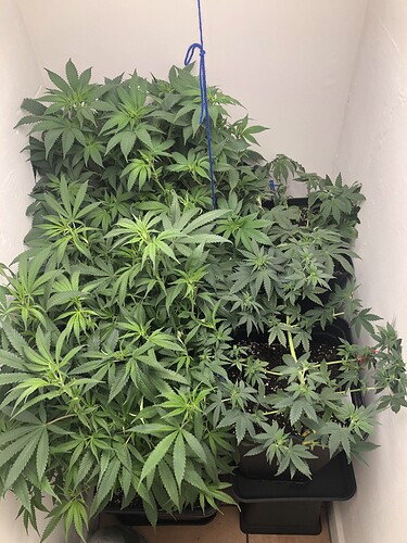 Growreport Bild 12