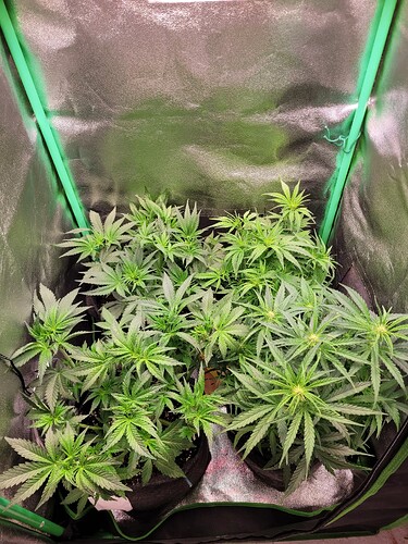 Growreport Bild 12