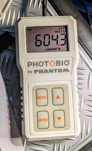 PXL_20250203_161556849~2