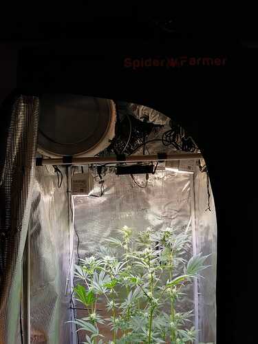 Growreport Bild 9
