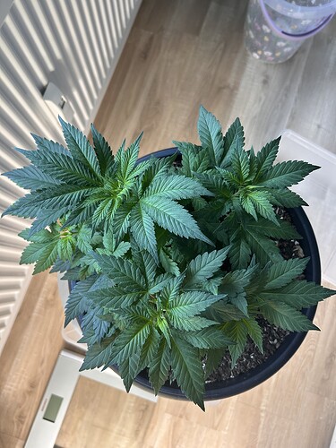 Growreport Bild 23