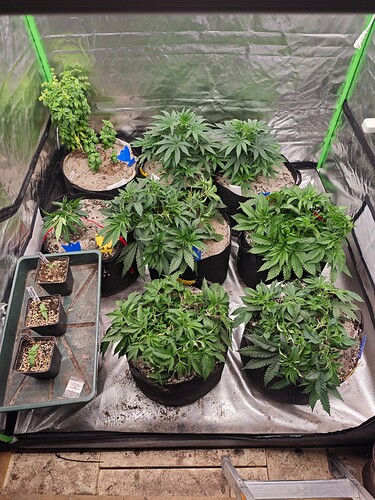 Growreport Bild 20
