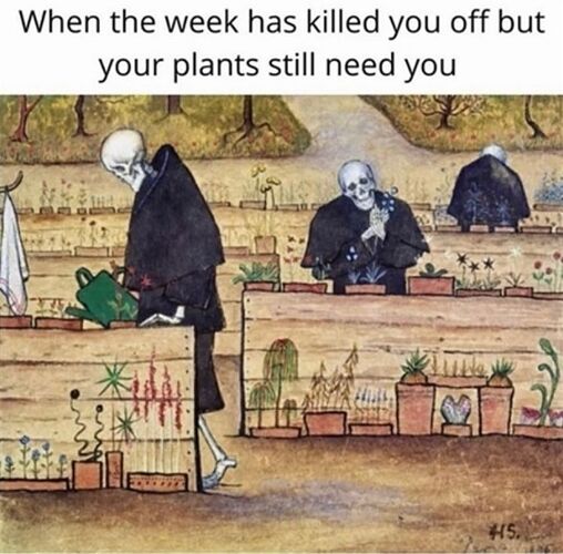 WhatsApp Image 2024-05-16 at 21.15.02_401f46d8