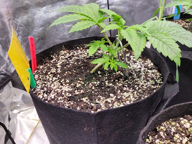 Growreport Bild 14