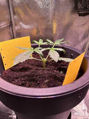 Growreport Bild 7