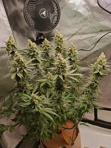 Growreport Bild 22