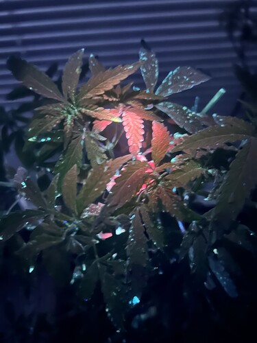 Growreport Bild 14