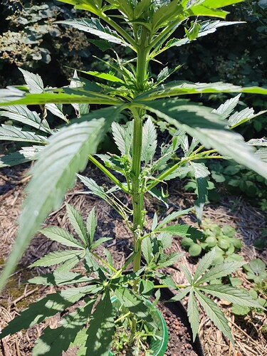 Growreport Bild 28