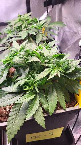 Growreport Bild 14