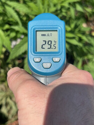 Growreport Bild 42