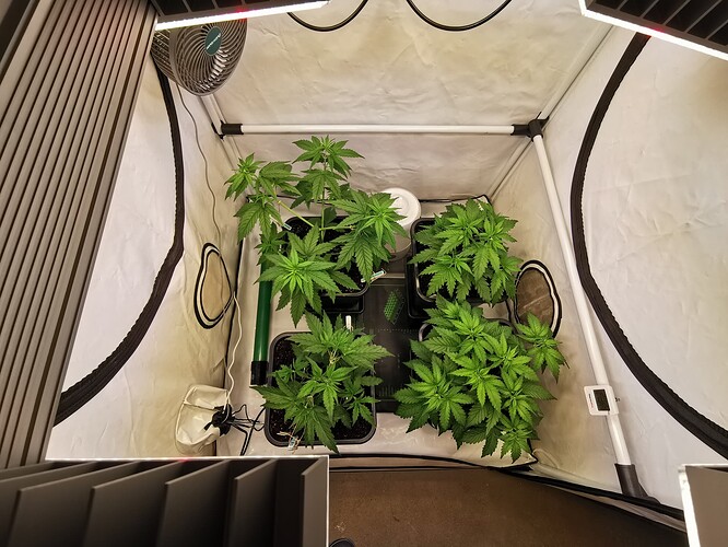 Growreport Bild 15