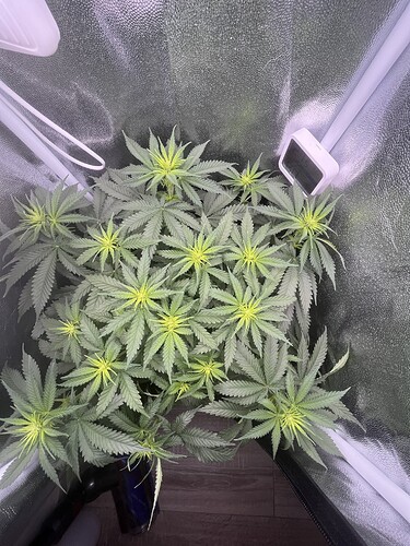 Growreport Bild 16