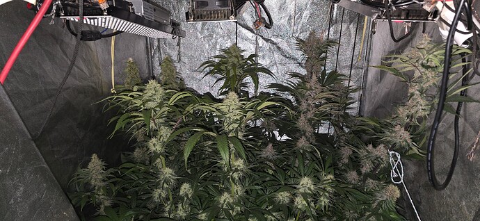 Growreport Bild 16