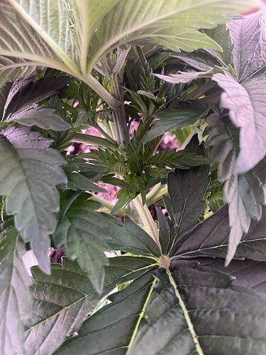 Growreport Bild 10