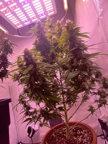 Growreport Bild 18