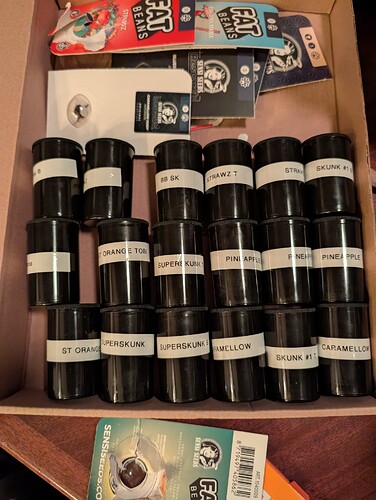 PXL_20250301_194650475