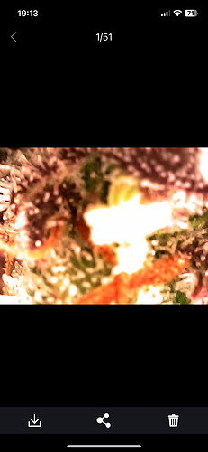 Growreport Bild 5