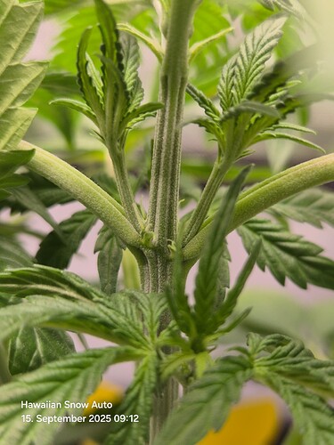 Growreport Bild 13