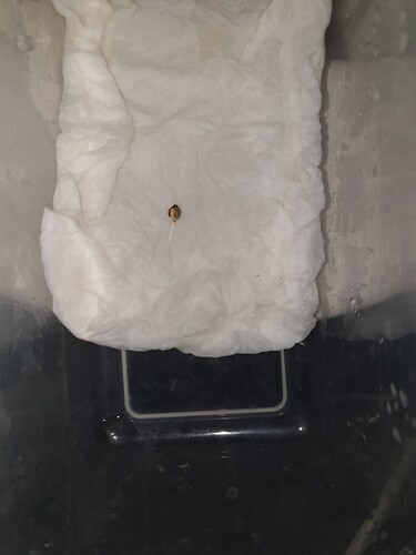 2025-02-10-12-40-18-319