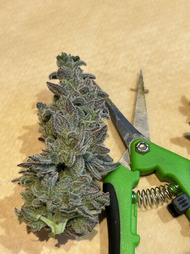 Growreport Bild 8