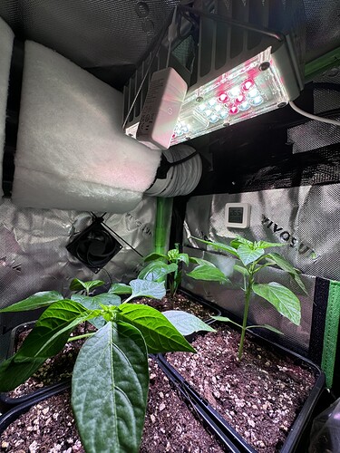 Growreport Bild 9