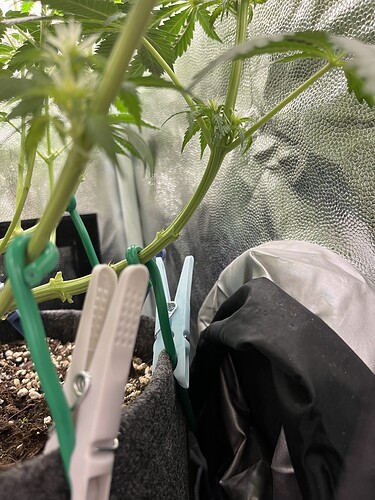 Growreport Bild 8