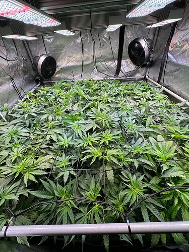 Growreport Bild 5