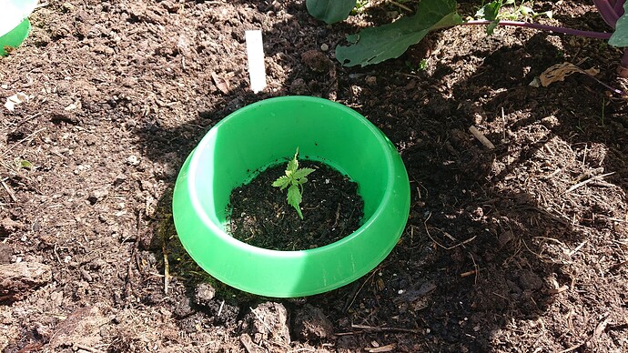 Growreport Bild 17