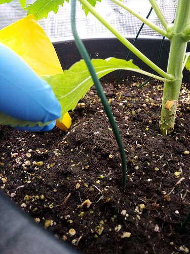 IMG_2025-04-01-21-22-56-737