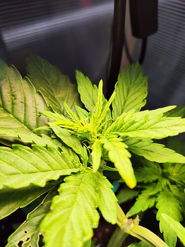 Growreport Bild 3