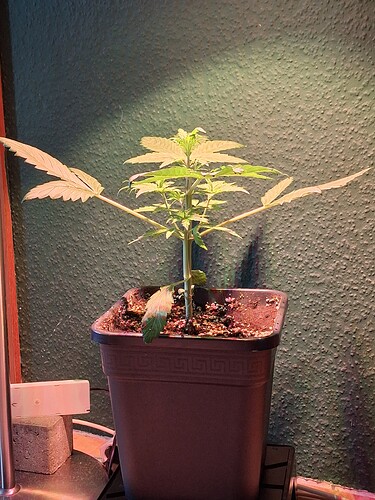 Growreport Bild 18