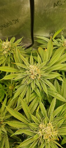 Growreport Bild 2