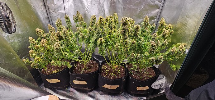 Growreport Bild 15