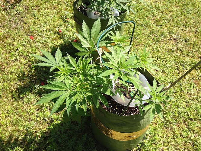 Growreport Bild 22