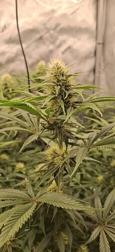 Growreport Bild 10
