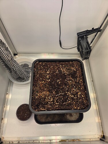Growreport Bild 18