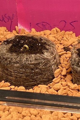 Growreport Bild 3