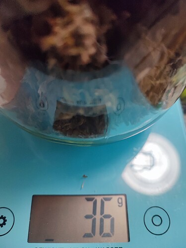 Growreport Bild 4