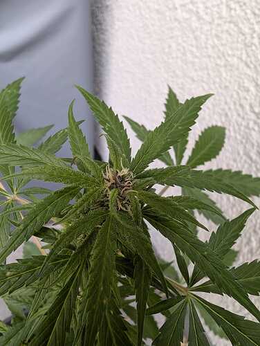 WhatsApp Bild 2024-10-12 um 11.47.43_9946f5f3