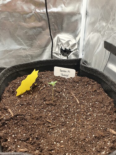 Growreport Bild 8