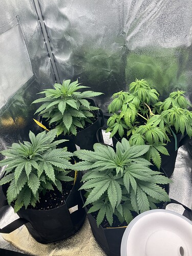 Growreport Bild 13