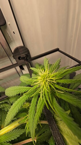 Growreport Bild 15