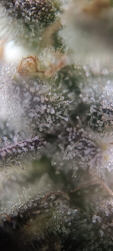 Growreport Bild 14
