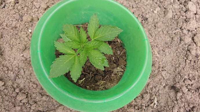 Growreport Bild 35
